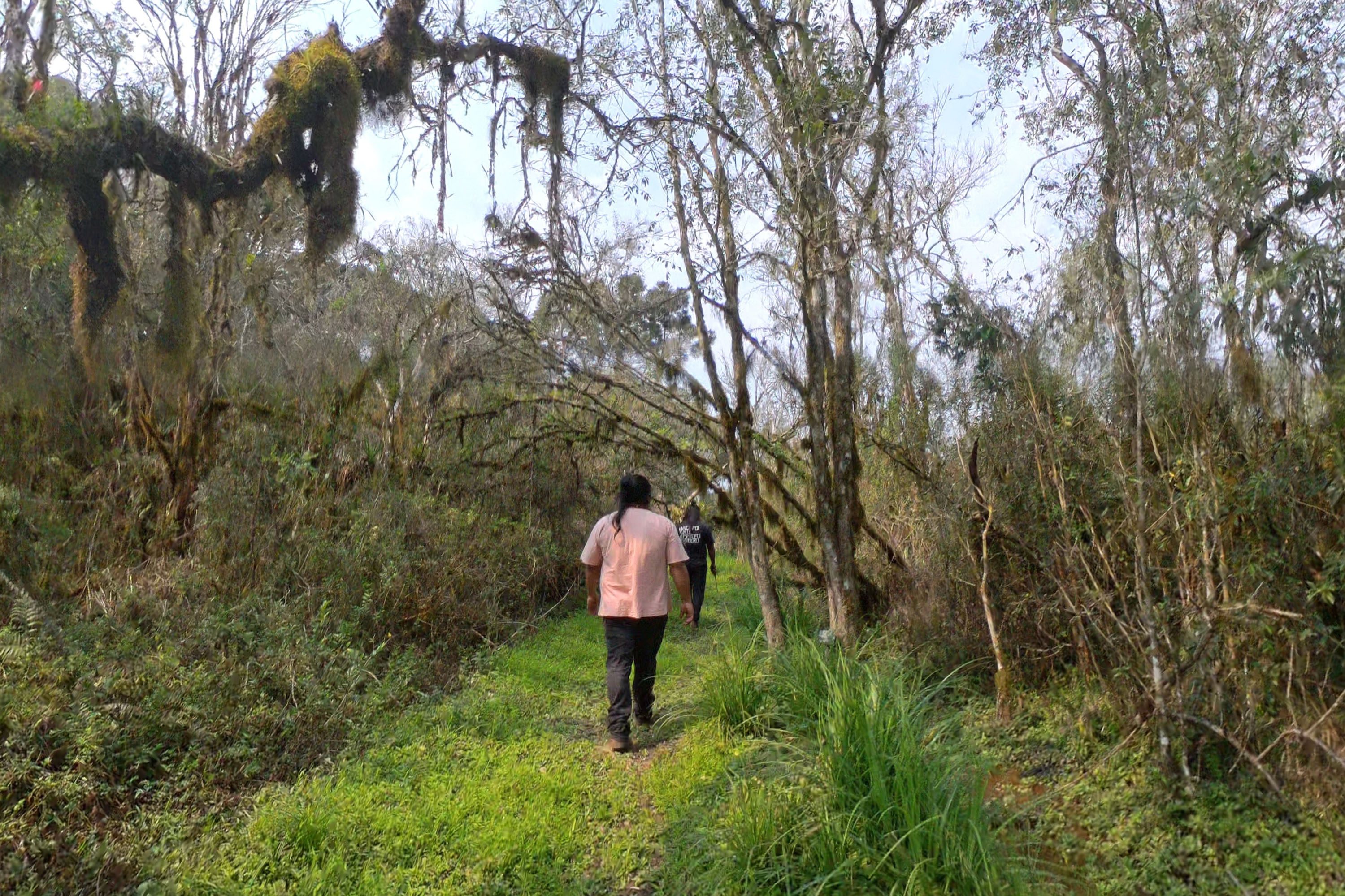 Caminhos PEabiru