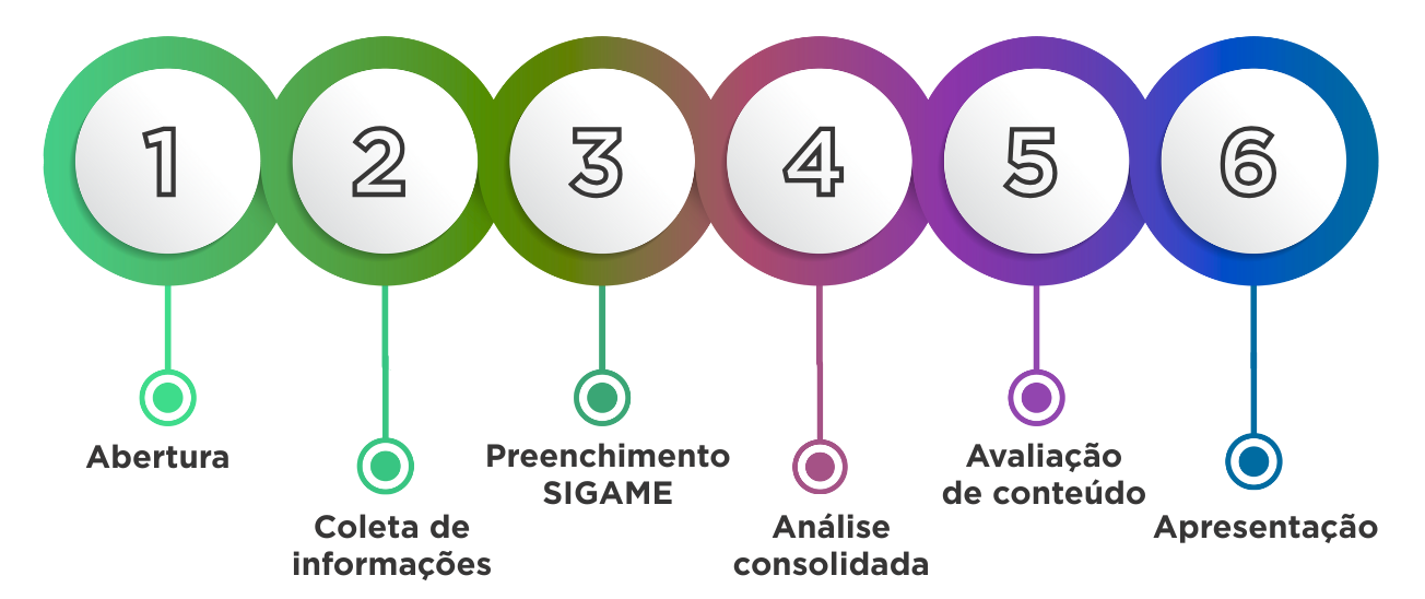 Etapas Monitoramento