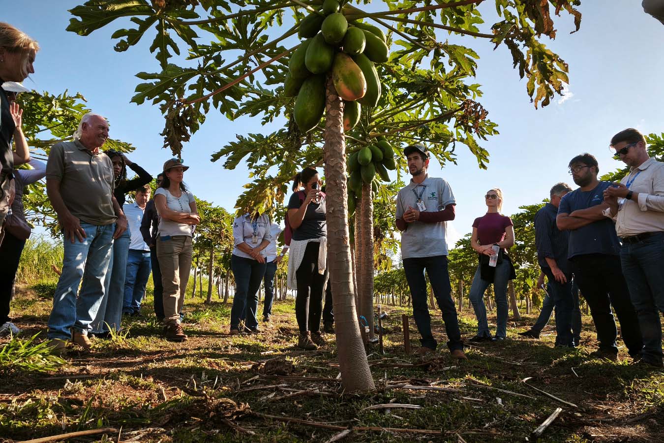 Estado e Banco Mundial alinham próximas ações do Programa de Segurança Hídrica