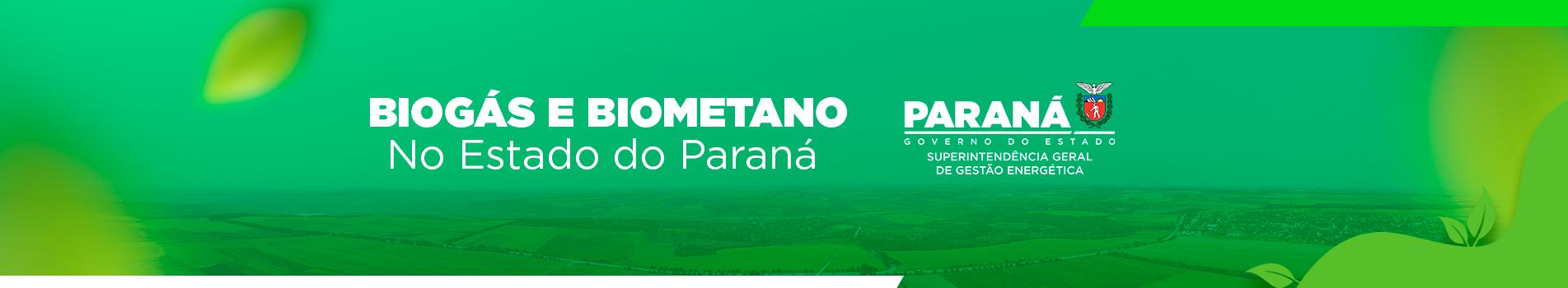 BIOGÁS E BIOMETANO