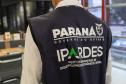 Ipardes apresenta PAD