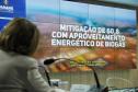 Entrega do PEDEP