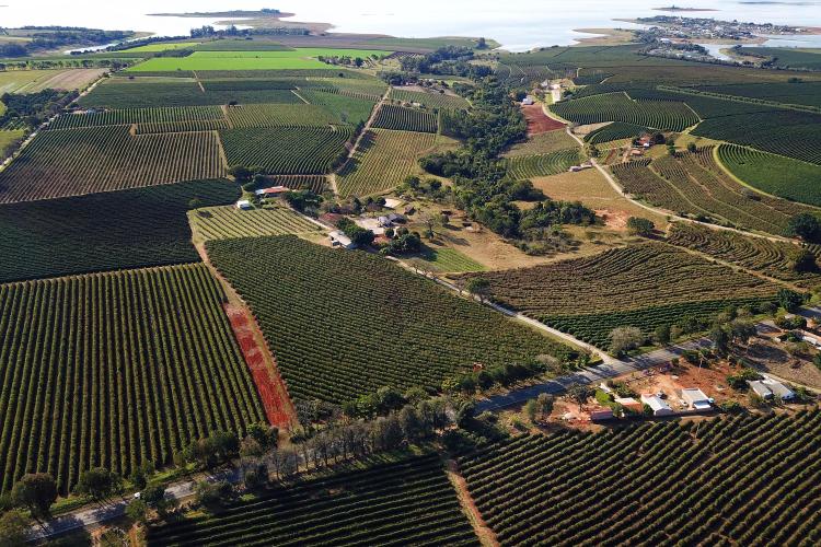 PIB do Paraná cresce acima da média nacional no 3° trimestre