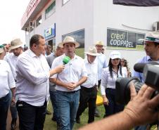 Show Rural 2025
