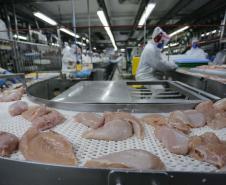 Lar Cooperativa abate de frango