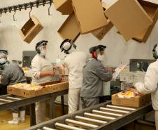Paraná tem maior crescimento econômico do Brasil no 1º quadrimestre