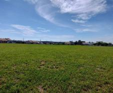 Mais Escolas Paraná - terrenos