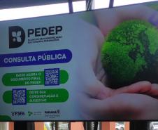 PEDEP consulta pública