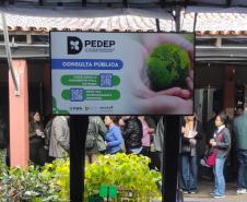 PEDEP consulta pública