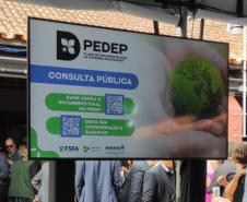 PEDEP consulta pública
