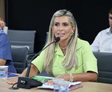 Governo do Paraná vai investir R$ 90 milhões para pavimentar a PR-487 entre Ivaí e Ipiranga