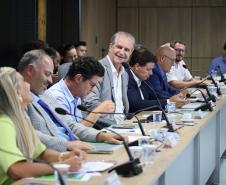 Governo do Paraná vai investir R$ 90 milhões para pavimentar a PR-487 entre Ivaí e Ipiranga