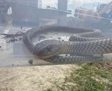 Monitoramento ambiental garante requalificação eficiente da orla de Pontal do Paraná