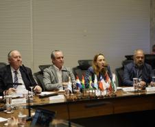 Daniela Schlogel é designada como nova secretária executiva da Zicosul