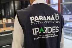 Ipardes colete