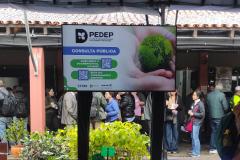 PEDEP consulta pública