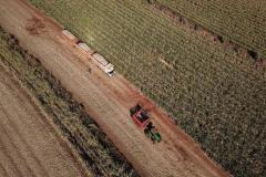 Paraná cresce três vezes acima da média nacional em agosto, aponta Banco Central