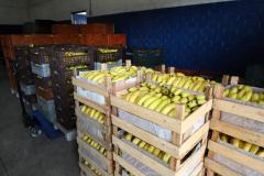 Preços de alimentos e bebidas caem em todas as regiões do Paraná em novembro