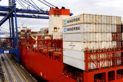 Do chapéu às carnes, Paraná lidera exportações nacionais em diversos segmentos