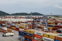 Nove produtos paranaenses tiveram crescimento superior a 30% nas exportações em 2025