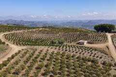 Paraná em Números: painel do Ipardes apresenta dados econômicos e do agronegócio