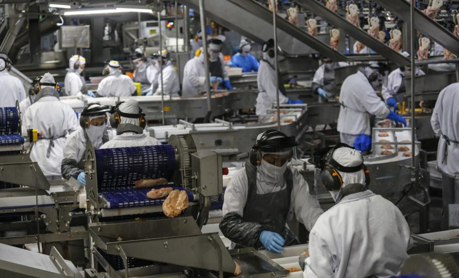 Palotina - 10-10-2020 - Cooperativa C Vale - Industria de Aves e Tilapia - Foto : Jonathan Campos / AEN