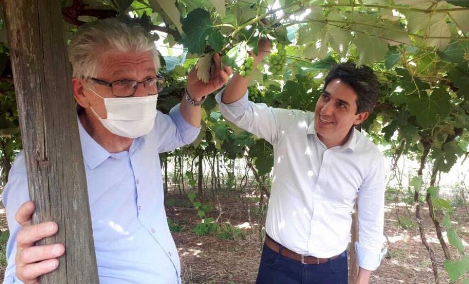 Entrega de pavimentação de estrada rural e de máquinas, caminhão e equipamentos para cooperativas de agricultura familiar, inauguração de cozinha comunitária. Estas foram algumas das ações dos secretários estaduais da Agricultura e do Abastecimento, Norberto Ortigara, e do Planejamento e Projetos Estruturantes, Valdemar Bernardo Jorge, na semana passada na região do Norte Pioneiro.
