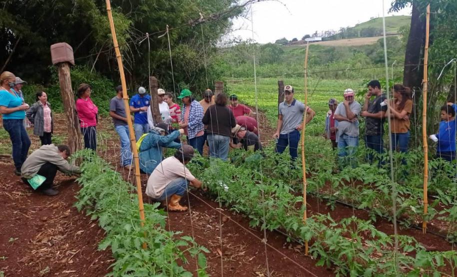 Agricultores cultivam terra. Foto: IDR/PR