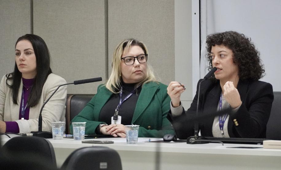 Monitoramento das Entregas do PPA 2024-2027