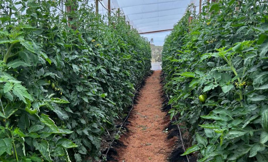 Estado e Banco Mundial alinham próximas ações do Programa de Segurança Hídrica