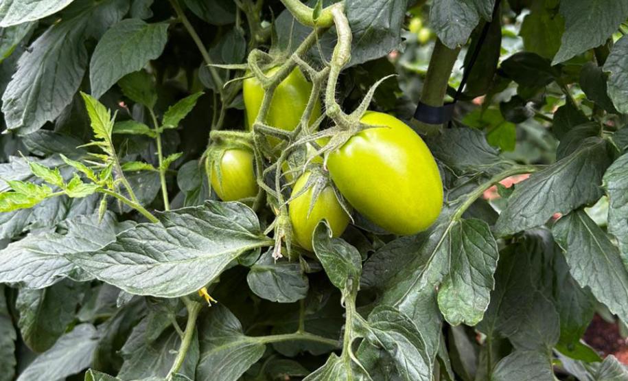 Estado e Banco Mundial alinham próximas ações do Programa de Segurança Hídrica