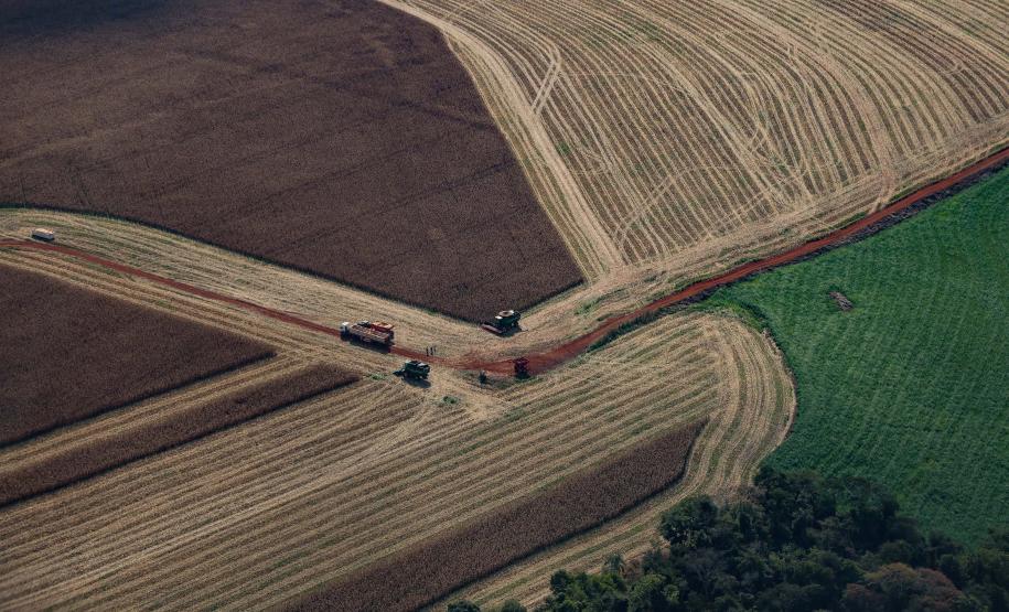 Paraná teve maior crescimento econômico do Brasil nos primeiros cinco meses de 2025