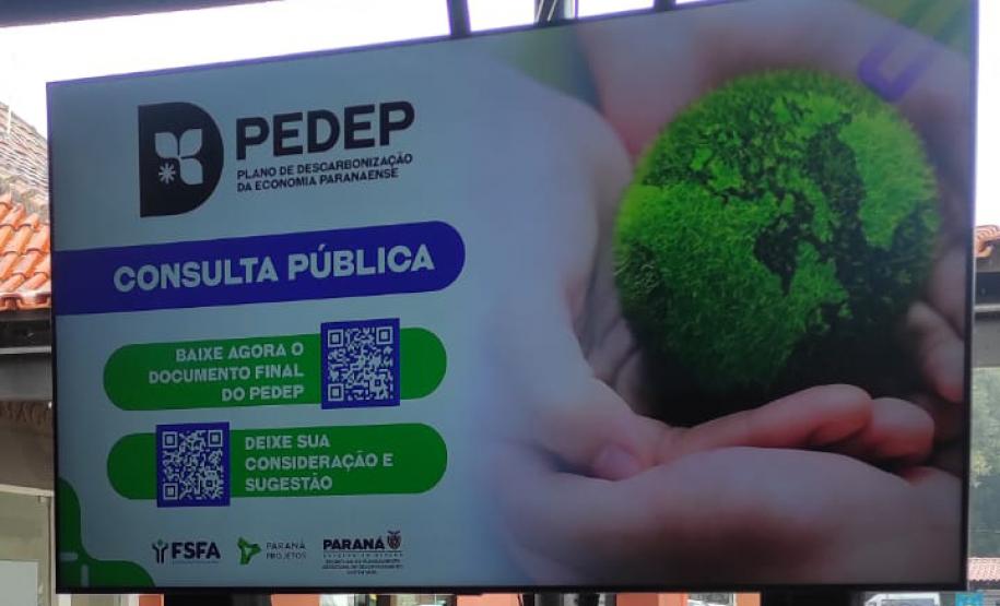PEDEP consulta pública