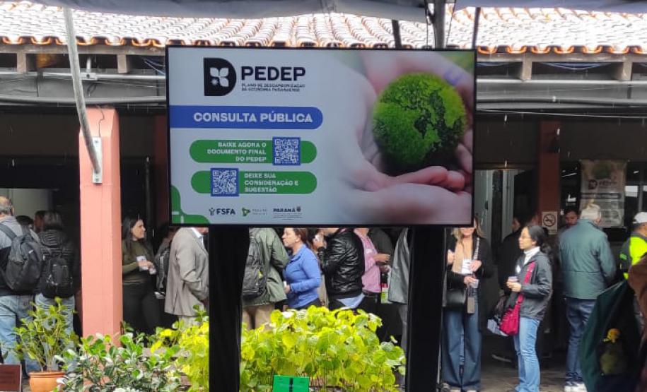 PEDEP consulta pública