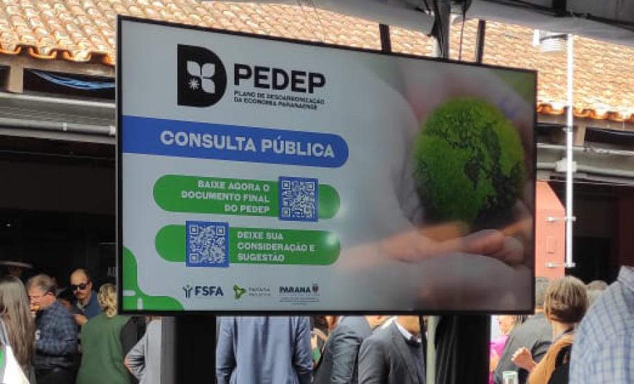 PEDEP consulta pública