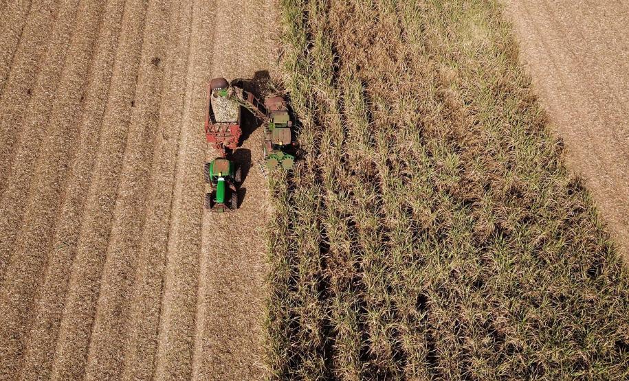 Paraná lidera crescimento da atividade econômica entre os estados no 1º semestre de 2025