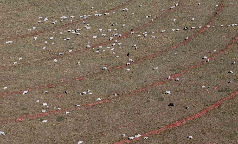 PIB do Paraná cresce 3,8% no primeiro semestre, acima da média nacional