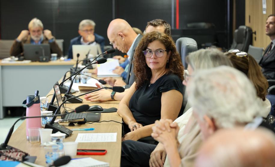 Estado e Banco Mundial discutem ações para expansão do saneamento rural no Paraná