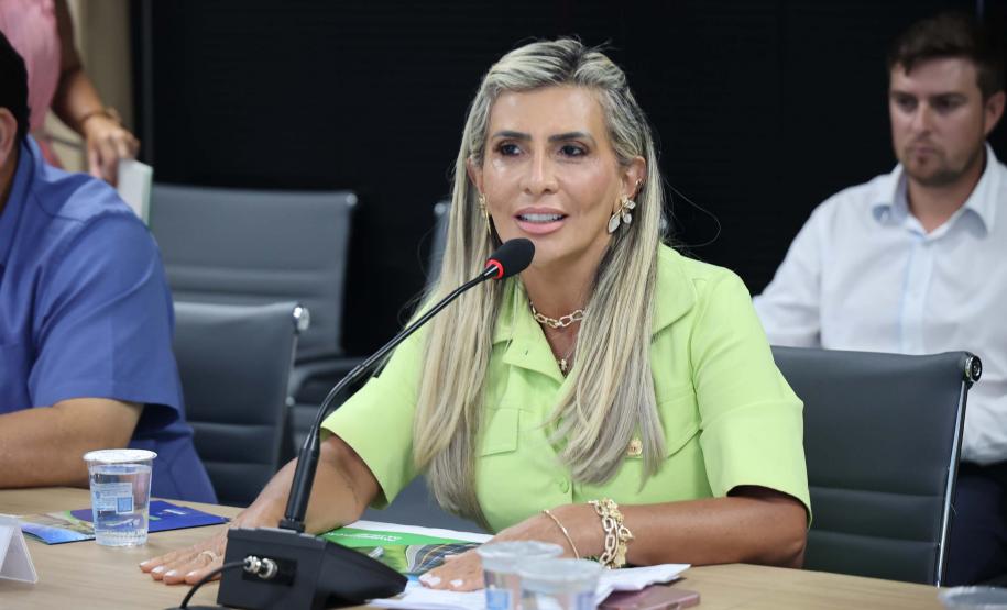 Governo do Paraná vai investir R$ 90 milhões para pavimentar a PR-487 entre Ivaí e Ipiranga