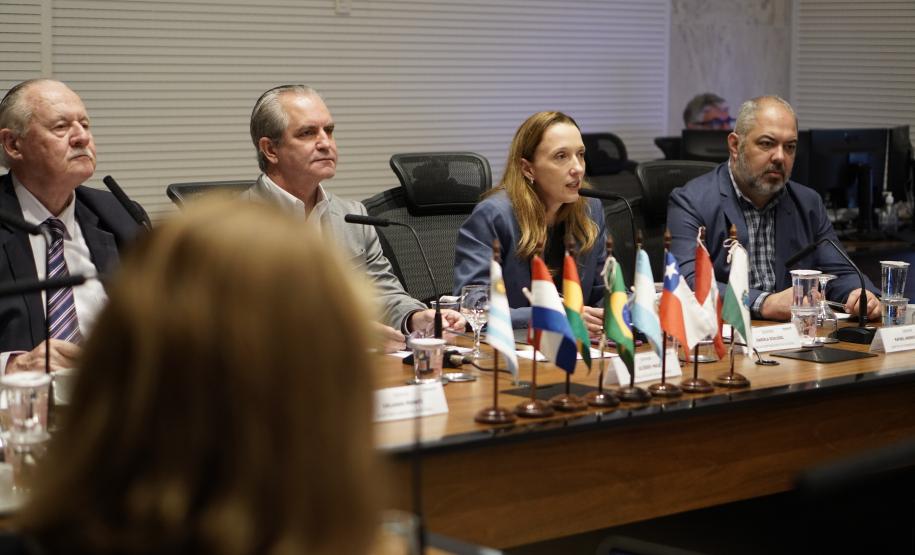 Daniela Schlogel é designada como nova secretária executiva da Zicosul