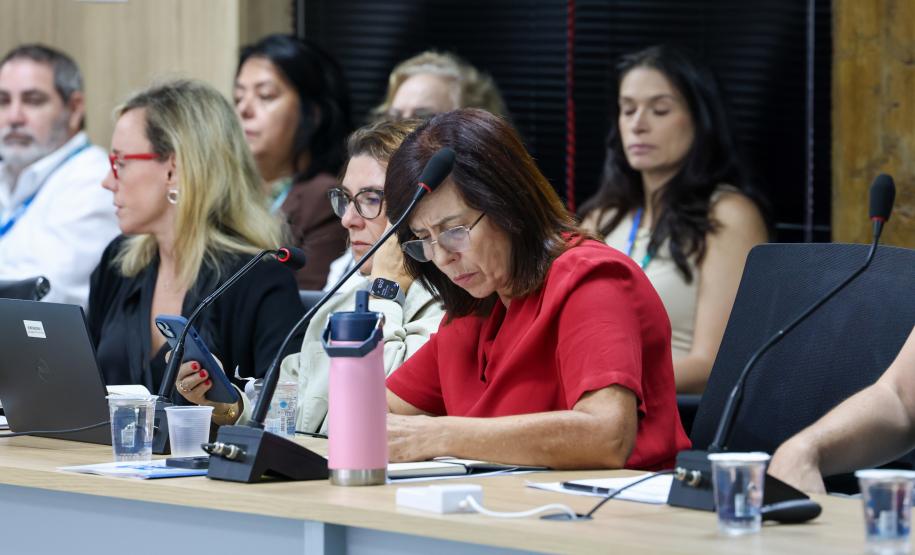 Paraná Eficiente: Banco Mundial faz avaliação positiva de ações e alinha próximos passos