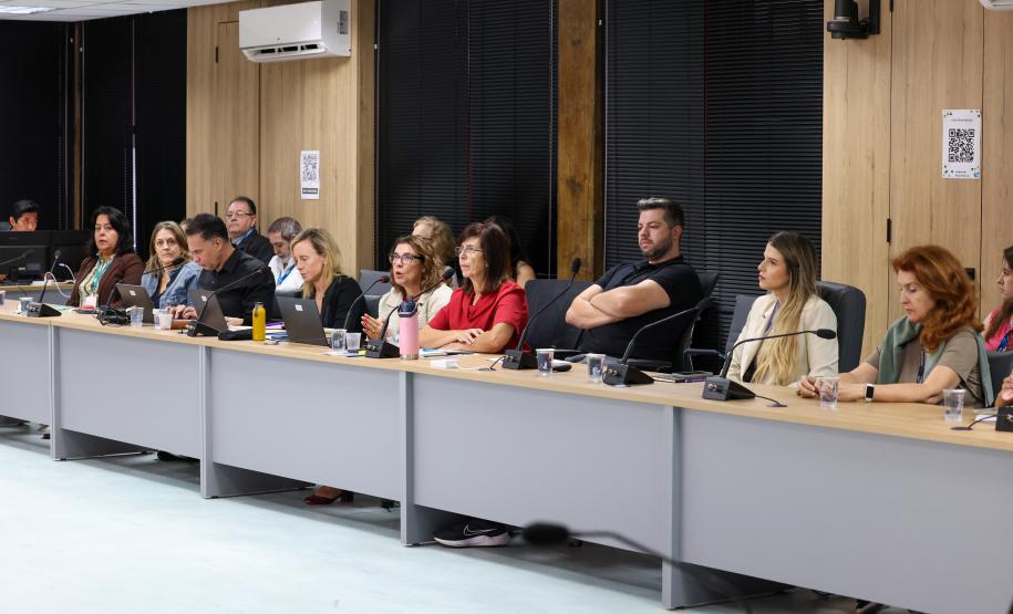 Paraná Eficiente: Banco Mundial faz avaliação positiva de ações e alinha próximos passos