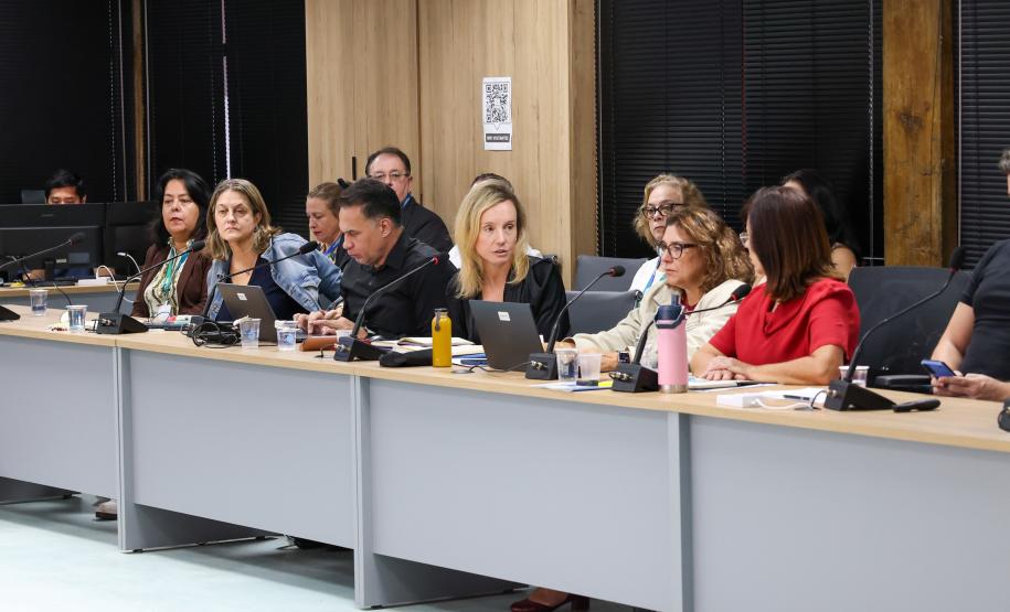 Paraná Eficiente: Banco Mundial faz avaliação positiva de ações e alinha próximos passos