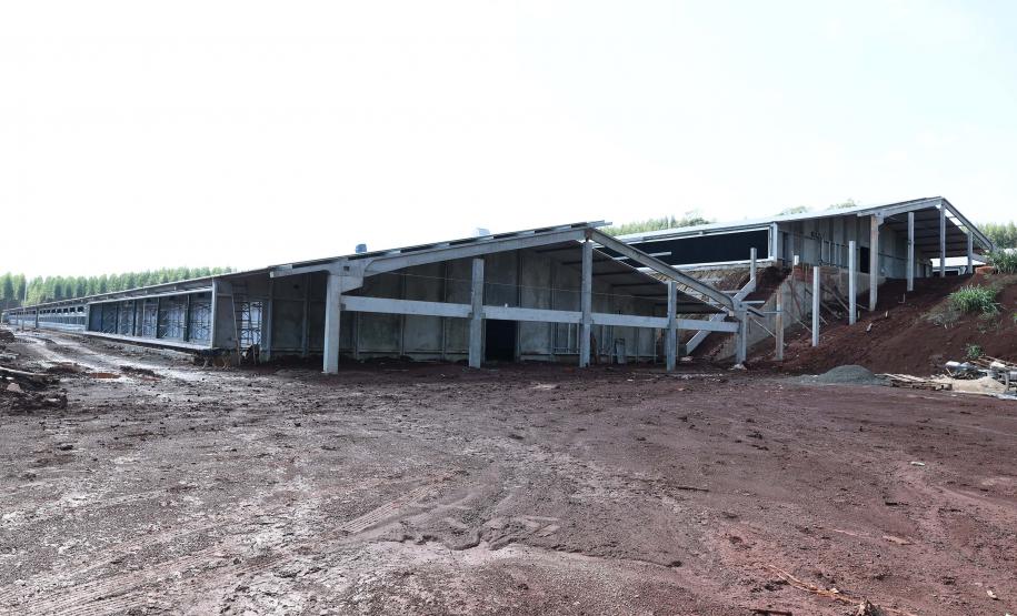 Com apoio do Estado, Lar investe R$ 90 milhões em unidade em São José das Palmeiras