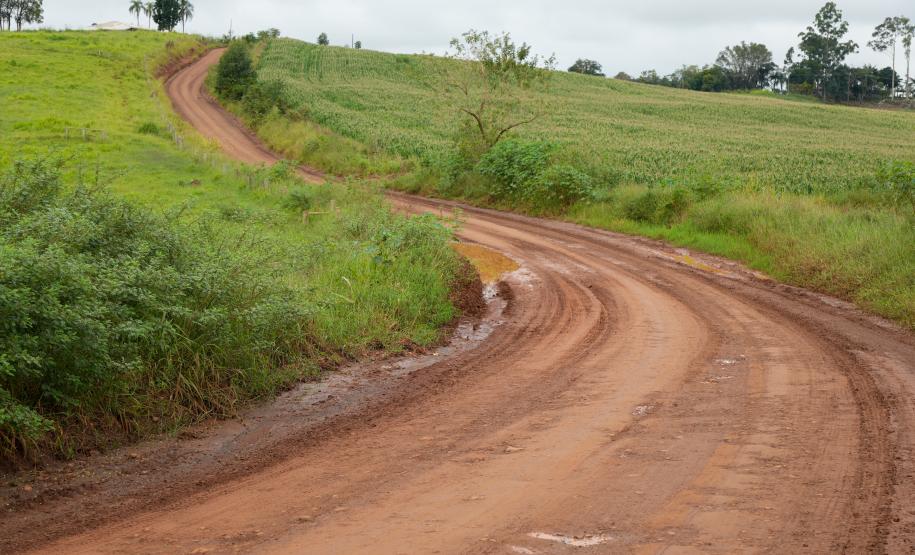 Governador autoriza pavimentação de R$ 156 milhões entre Altamira do Paraná e Laranjal