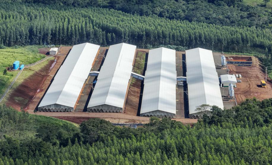 Com apoio do Estado, Lar investe R$ 90 milhões em unidade em São José das Palmeiras