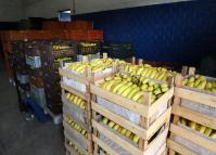 Preços de alimentos e bebidas caem em todas as regiões do Paraná em novembro